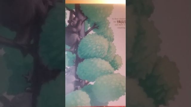 May 7th, Thursday read aloud The very Brave Bear, handwriting 167, 168 смотреть онлайн