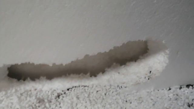 вот так мыши разрушают утеплитель в стенах! смотреть онлайн