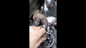 Демонтаж головки двигателя реф Kubota Z482 Carrier CT2 29