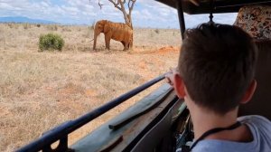 KENIA, Safari Tsavo East, Diani Beach, Mombasa, Voi Wildlife Lodge, Diani Sea Resort