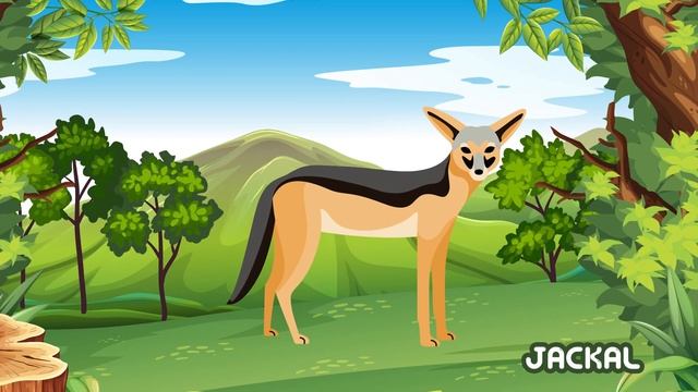 Safari Animals Flash Cards | Video Flash Cards | Learn to Talk | Vocabulary in English