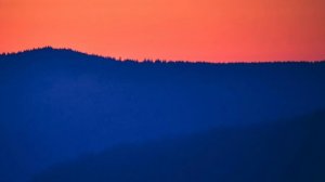 Best of Anjunadeep || Lane 8, Ben Bohmer, Dirty South, Yotto, Monkey Safari