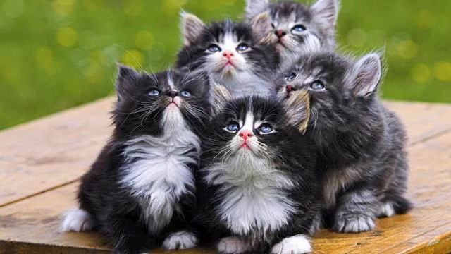 Музыка русская . От нее в душе становится так хорошо..... смотреть онлайн