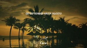 Dakiti - Bad Bunny (Lyrics/Letra)