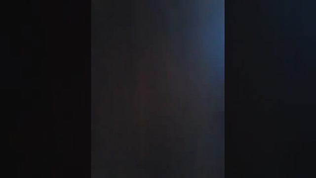 Мой кот любит воду смотреть онлайн