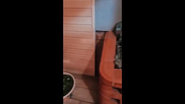 Домик баня Гостевой дом Изумитель смотреть онлайн