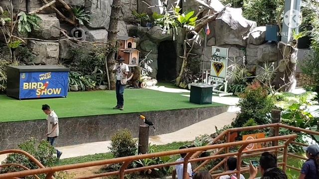 Cebu Safari Adventure Park, Bird Show