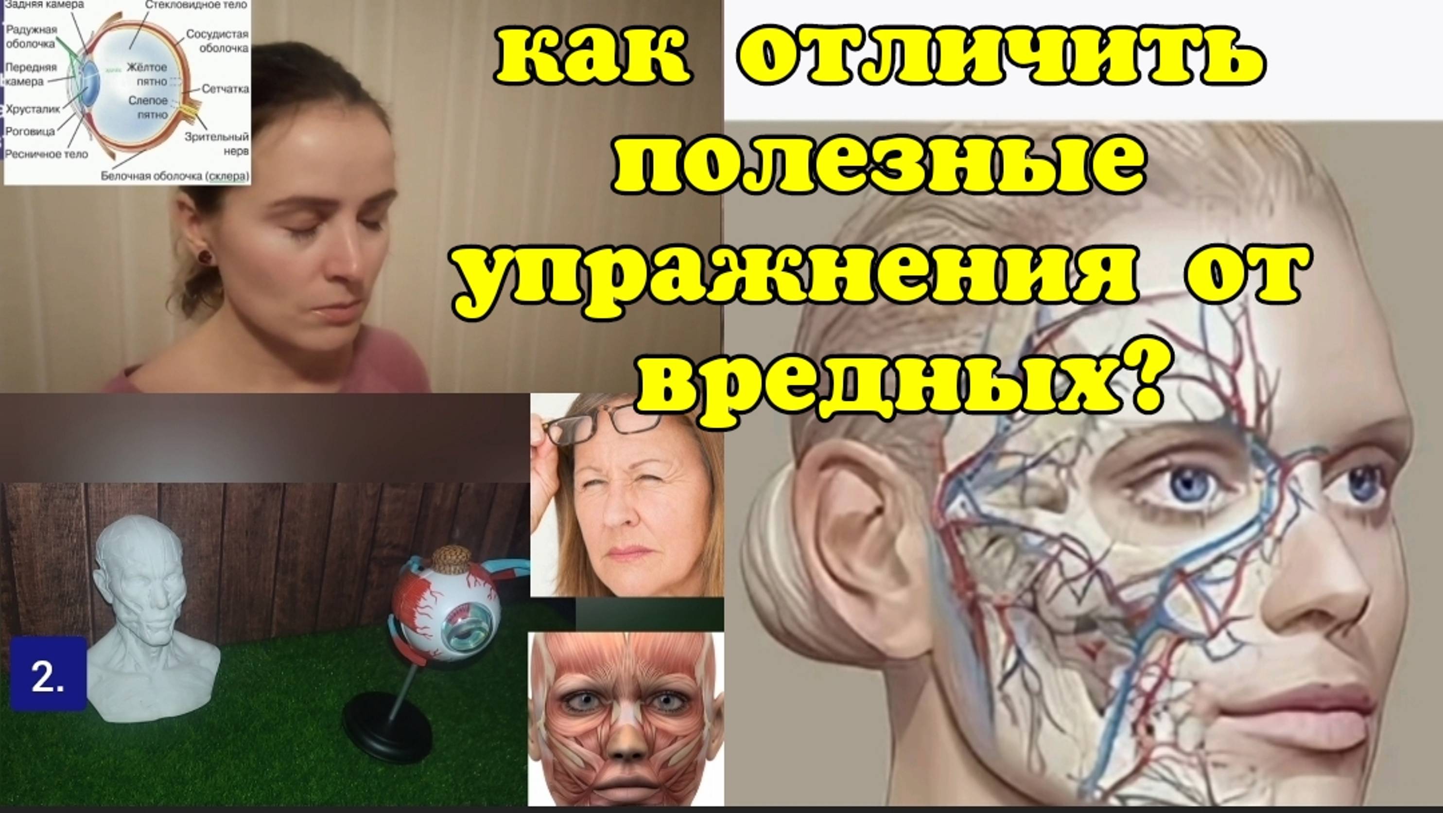 Глаза "трещат", падает зрение, глаукома, катаракта? Укрепите цилиарную мышцу и 3 мышцы лица