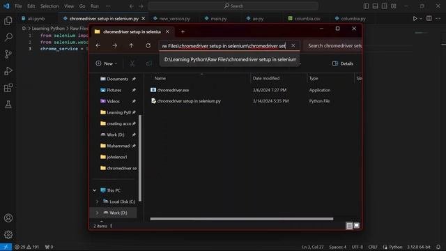 Chromedriver Setup In Selenium || How to install Chromedriver in selenium #chromedriver #selenium