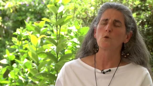 Bette Loiselle Excerpt: Research on Tropical Fruit-Eating Birds
