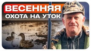 Весенняя охота с подсадной уткой на озере Ханка!
