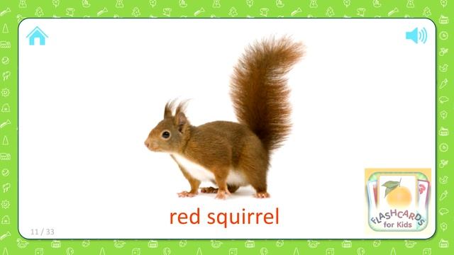 Wild Animals (16 Cards ) Flashcards for Kids - Part 1