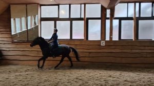 Зачётный голоп #shorts