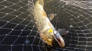 Первая щука Гульфии в 2024г