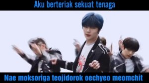 Stray kids Back Door MV + lyrics and translate Indonesian + photocard stray kids
