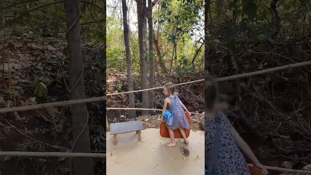 Перелетная Школа на Гоа. Март 2023, конец дня ❤️ смотреть онлайн