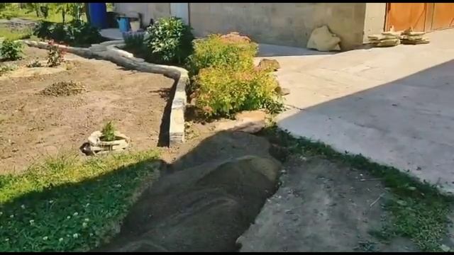 Зацвели розы!!! Работа по благоустройству участка продолжается!!! смотреть онлайн