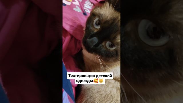 Тестировщик детской одежды 🥰😺