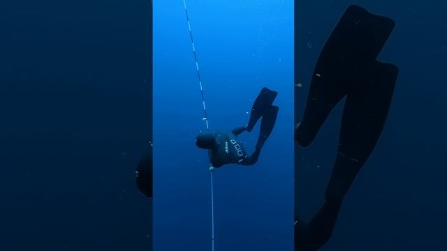 We heard a HUMPBACK WHALE song during a freedivig session #freediving #mauritius #whale