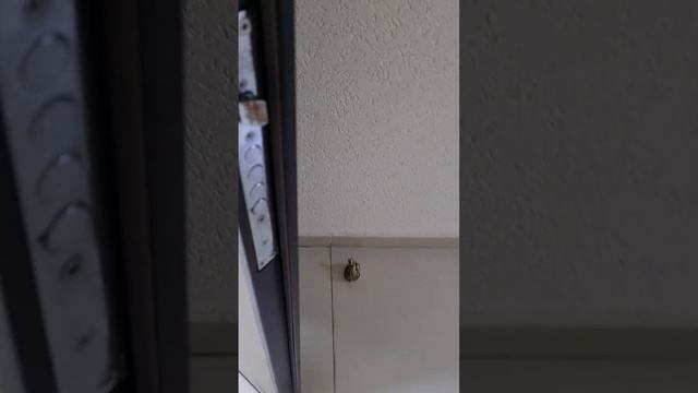 Декоративный бронзовый дверной упор "Улитка везёт улитку". смотреть онлайн