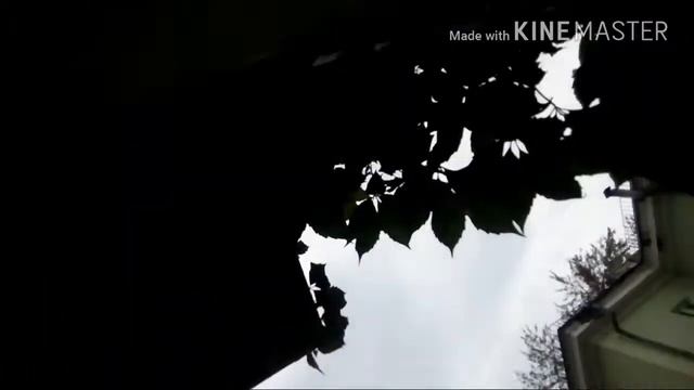 Vlog- после школы. Потеряла ключи! +Бонус смотри видео до конца! смотреть онлайн