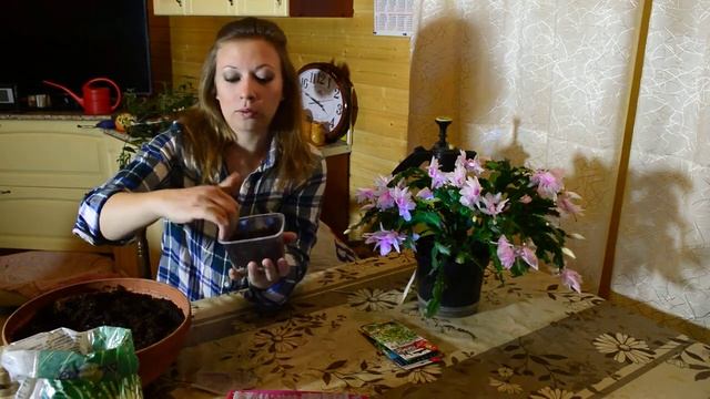 Огород на подоконнике. Урожай всегда под рукой.