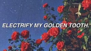 Jack Stauber-Buttercup Lyrics