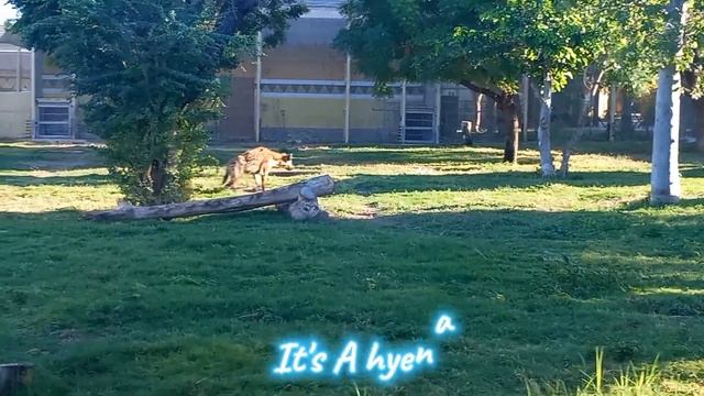 TRIP TO DUBAI SAFARI || Adventure time at zoo || Explore Dubai Safari Park ||