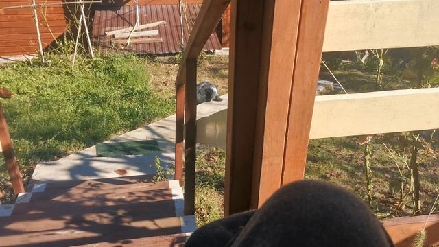 сочи горное лоо