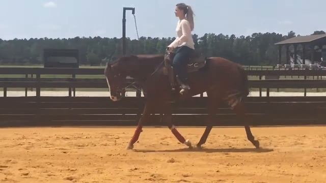 IE Chrome N Details смотреть онлайн