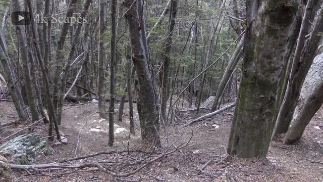 The Must To Do Hike Spots in New Zealand after after the Quarantine смотреть онлайн