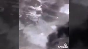 Белая дверь / А Пугачева/ .../G/...