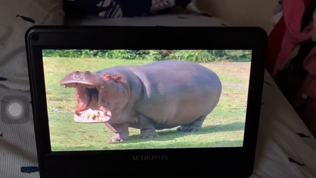 Baby Einstein used Little Einsteins footage смотреть онлайн