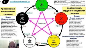 Карта здоровья человека по учению У син