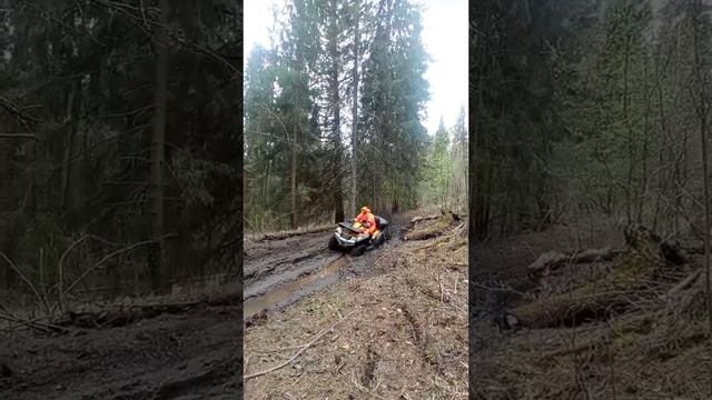 приключения на четырех колесах!