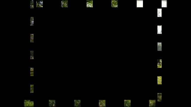 здоровье и долголетие по фен шуй смотреть онлайн