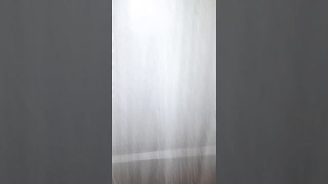 Входные и межкомнатные двери в частный дом