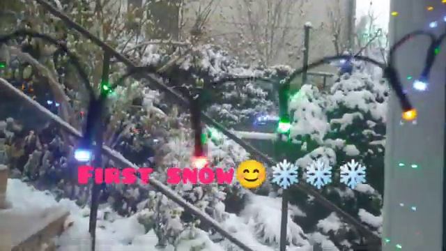 Кухня🍁❄️🍂🌊 Сад❄️в снегу, First❄️❄️ snow. Скоро новый год.🎄🎄🎄⛄⛄⛄😊🐾🐾🤪 смотреть онлайн