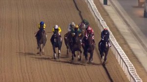 Salute The Soldier wins the G2, 1900m I Racing At Meydan I Race 4 I Al Maktoum Challenge R2