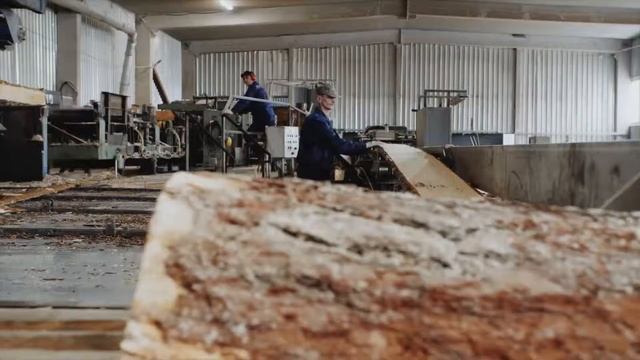 ЛогАртХаус - подготовка древесины смотреть онлайн