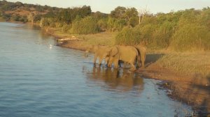 Chobe River Boat Safari 15. May 27, 2014.