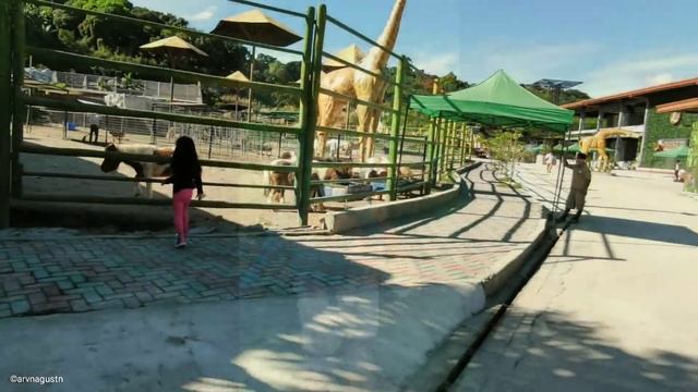 Clark Safari and Adventure Park 2021