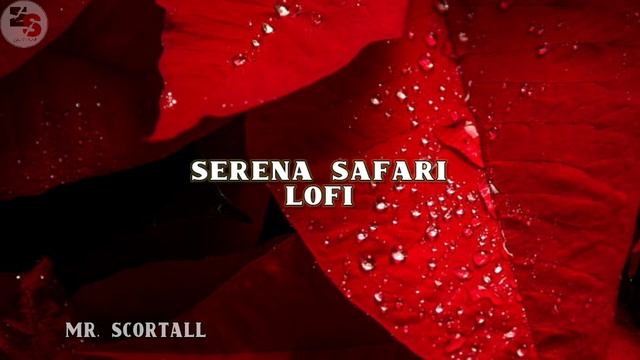 Serena Safari (Slowed + Reverb) || LOFI || USE HEADPHONE|| [ Mr. Scortall ] смотреть онлайн