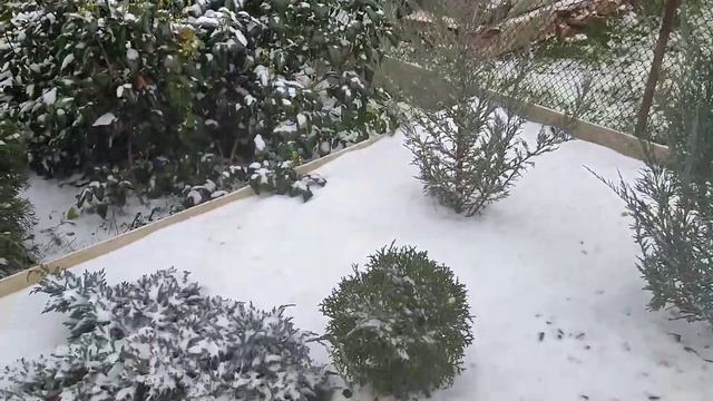 У нас замело! смотреть онлайн