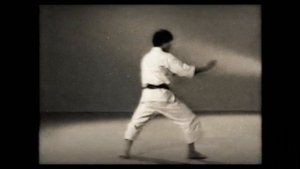 2 Каратэ. Наследие Накаямы. Ката Хейан Нидан