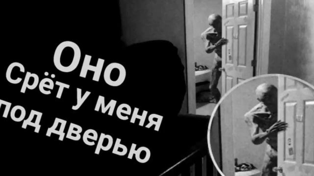 оно срёт у меня под дверью смотреть онлайн