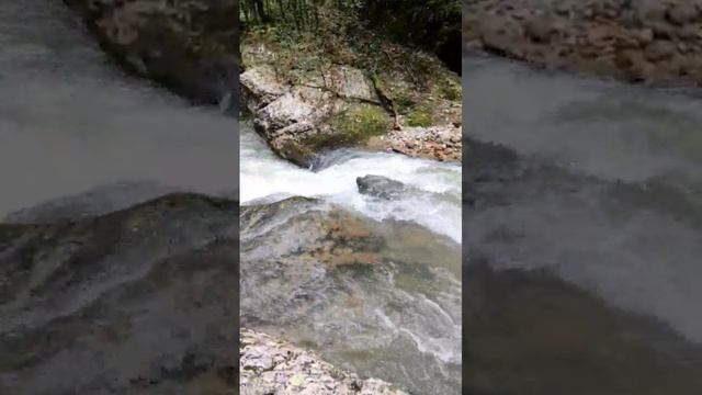 VID-20241019-WA0041.mp4