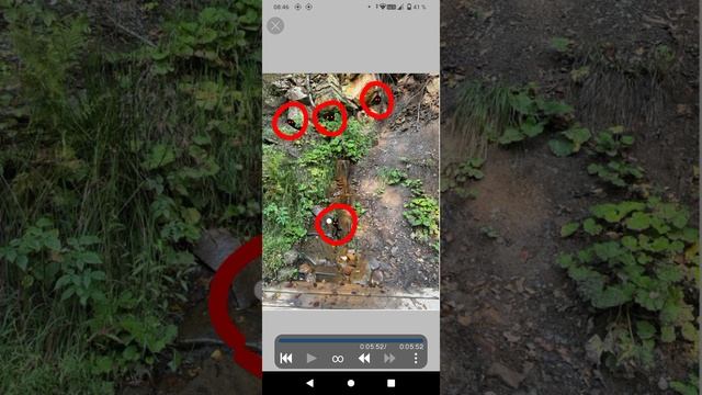 редактирование фоток в ibis paint x смотреть онлайн