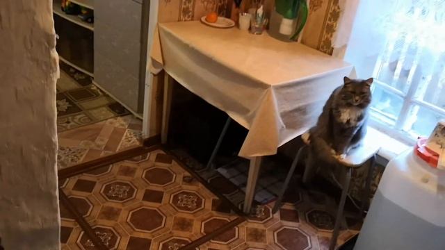 Жизнь в глубинке России в период самоизоляции.  Решил создать канал на ютьюбе. смотреть онлайн