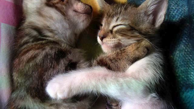 Канал самых красивых русских песен и видео 2015 смотреть онлайн